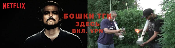 ГАЛЛЮЦИНОГЕННЫЕ ГРИБЫ Протвино